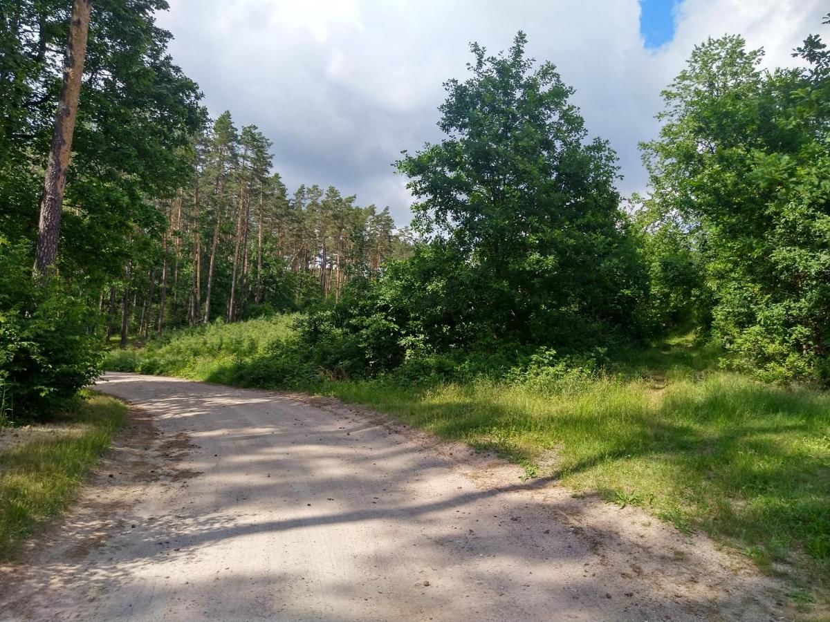 Лоджи Domki Letniskowe Szczycionek Щитно-23