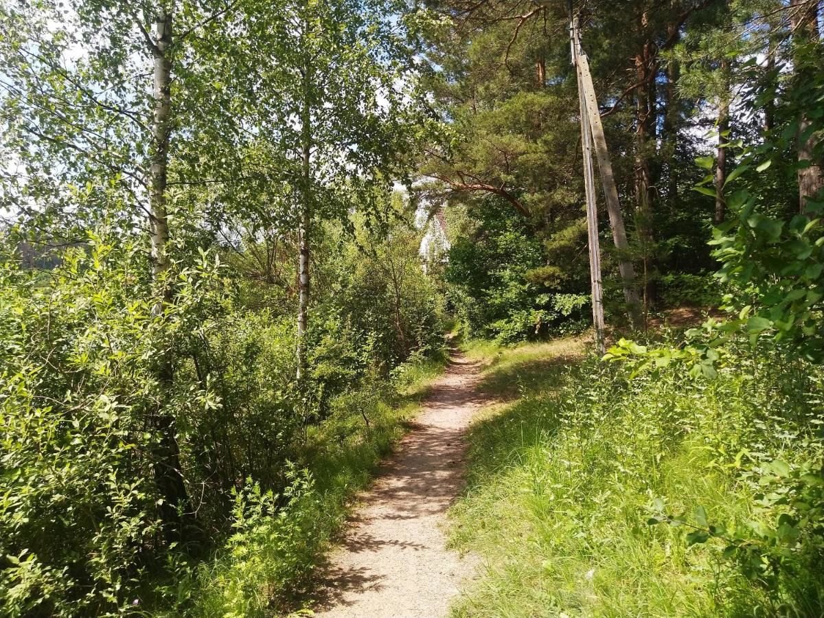 Лоджи Domki Letniskowe Szczycionek Щитно-48