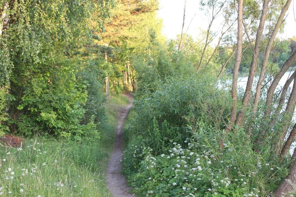 Лоджи Domki Letniskowe Szczycionek Щитно