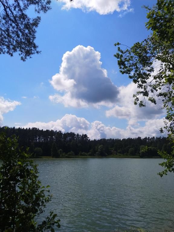 Лоджи Domki Letniskowe Szczycionek Щитно