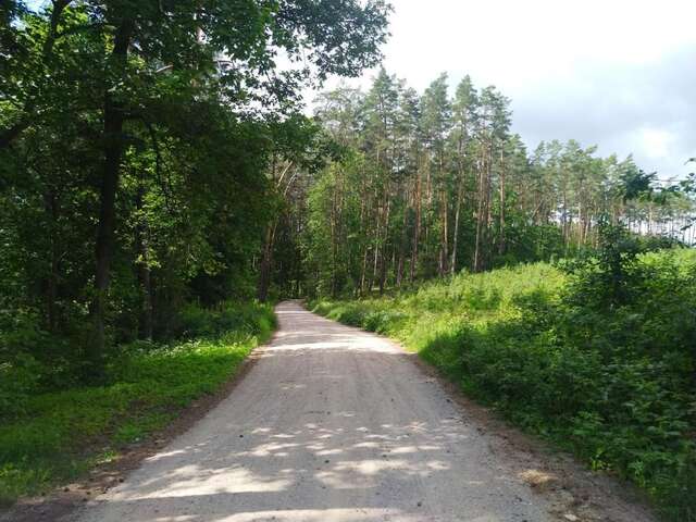 Лоджи Domki Letniskowe Szczycionek Щитно-21