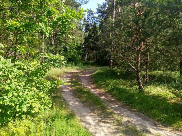 Лоджи Domki Letniskowe Szczycionek Щитно-60